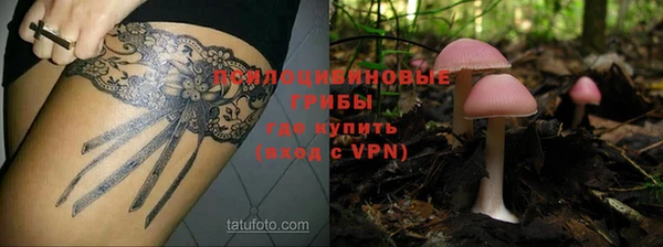мяу мяу мука Алексин