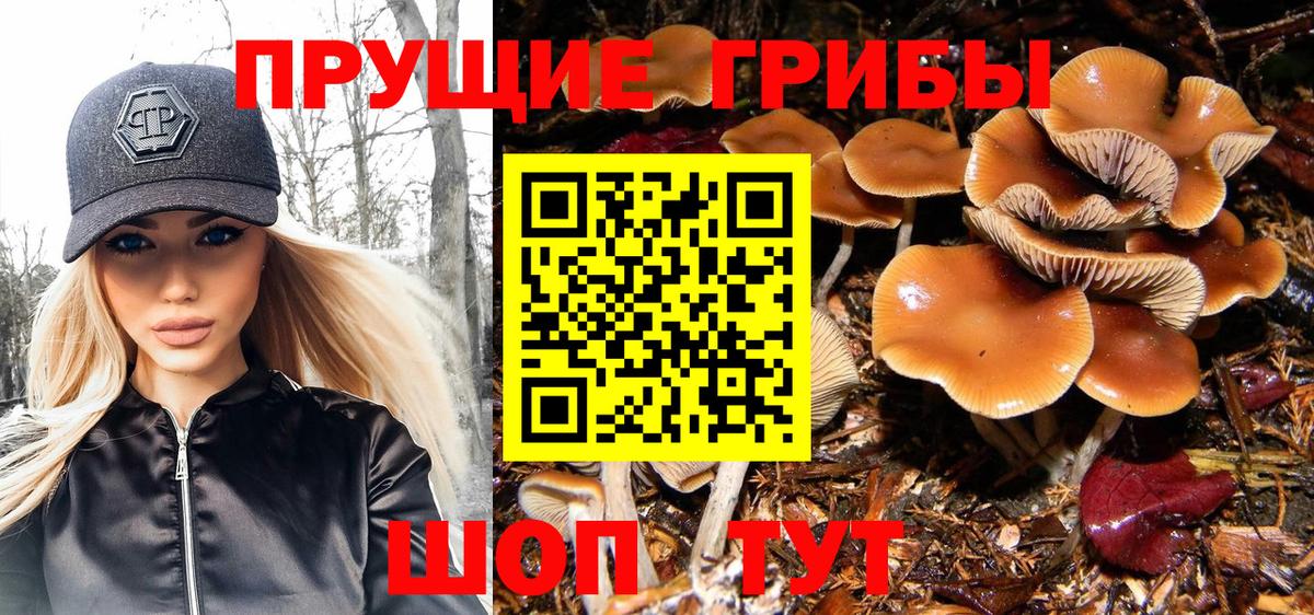 Усинск  Галлюциногенные грибы Psilocybine cubensis  Вход с VPN 